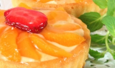 abrikozenkoek_460x180