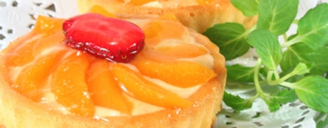 abrikozenkoek_460x180