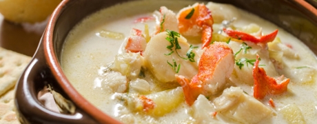 garnalenbalansdag_460x180