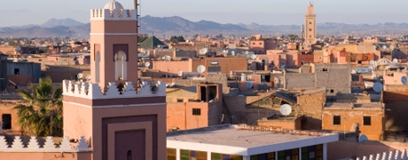 marrakechzoover_460x180