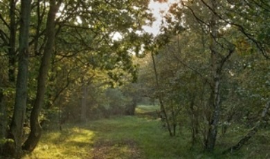 wandelingnovember13_460x180