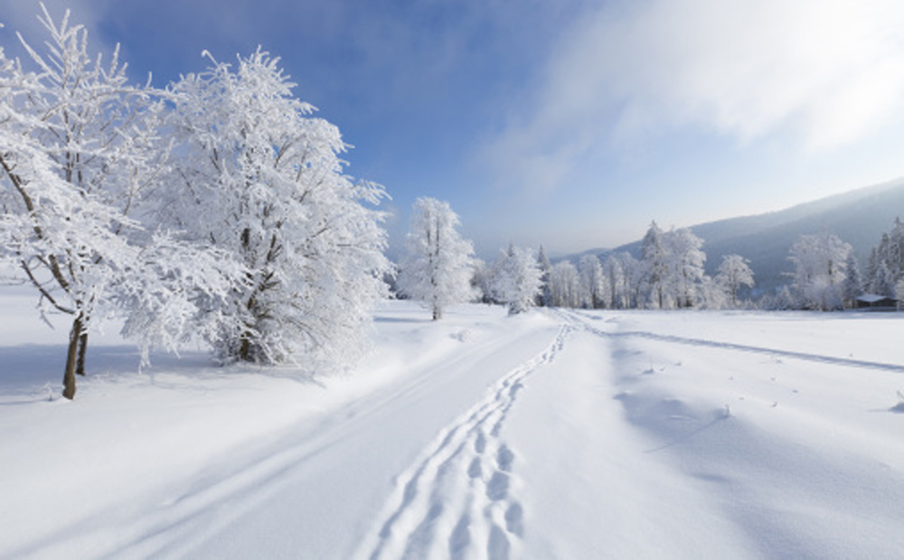 wintersportgebied1000620_0