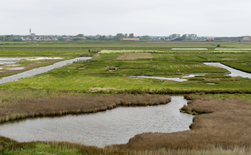 texel