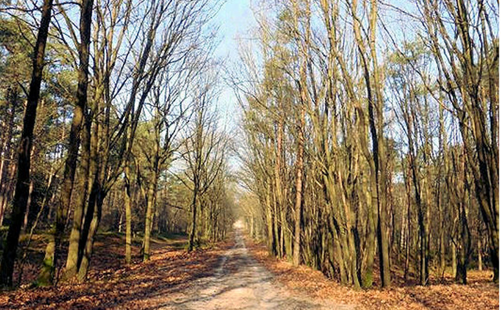 wandelen