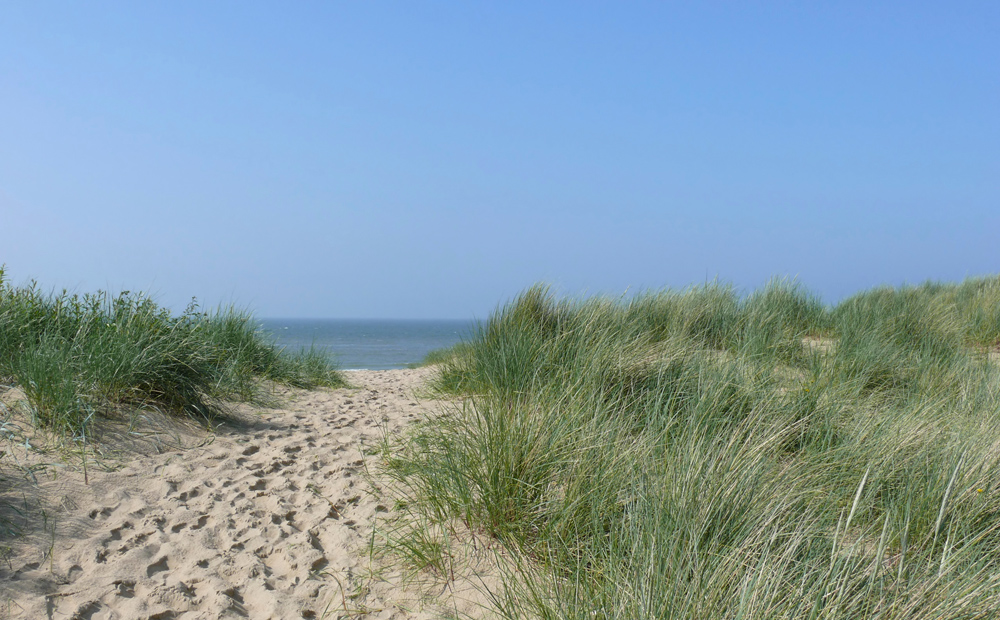 duinen