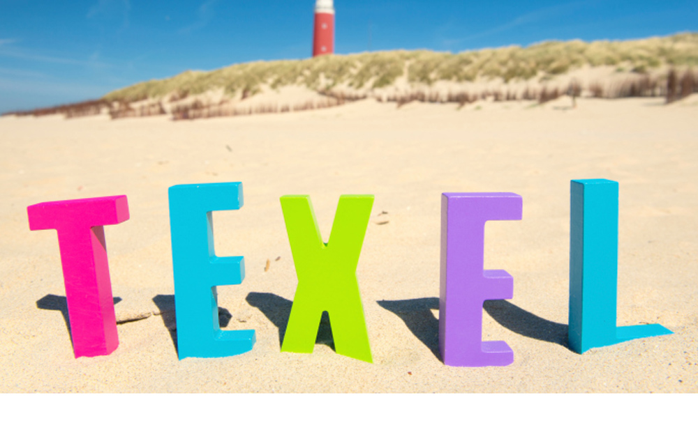 texel
