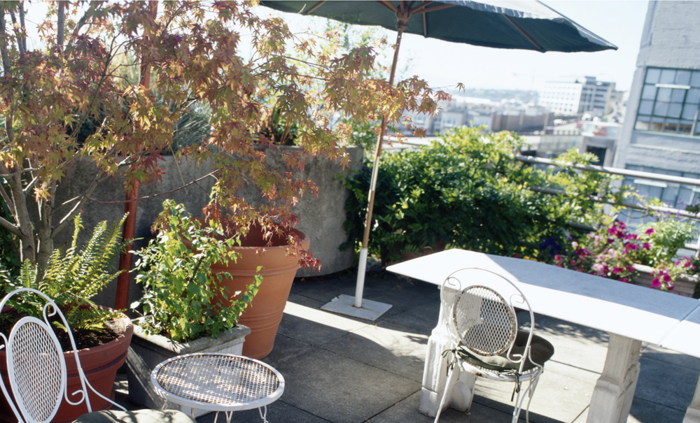 dakterras