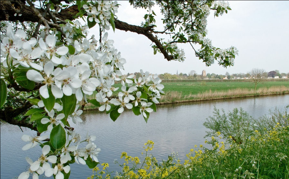 lingepracht