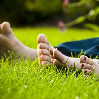 voeten_in_gras_320x320_0