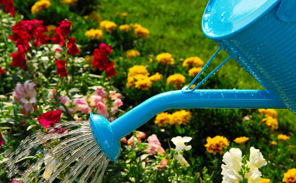 gardening