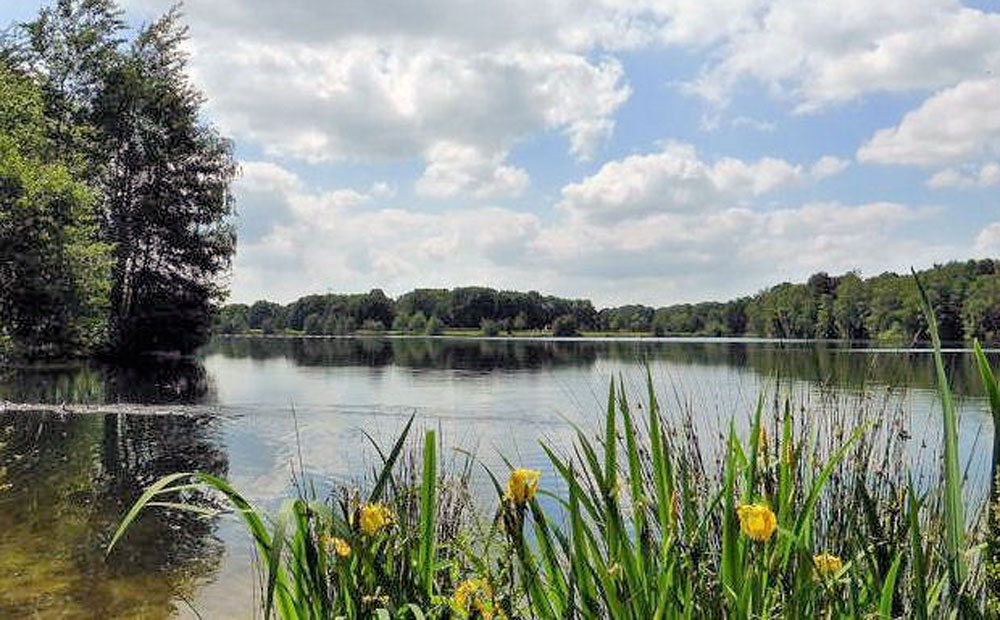 waalwijk