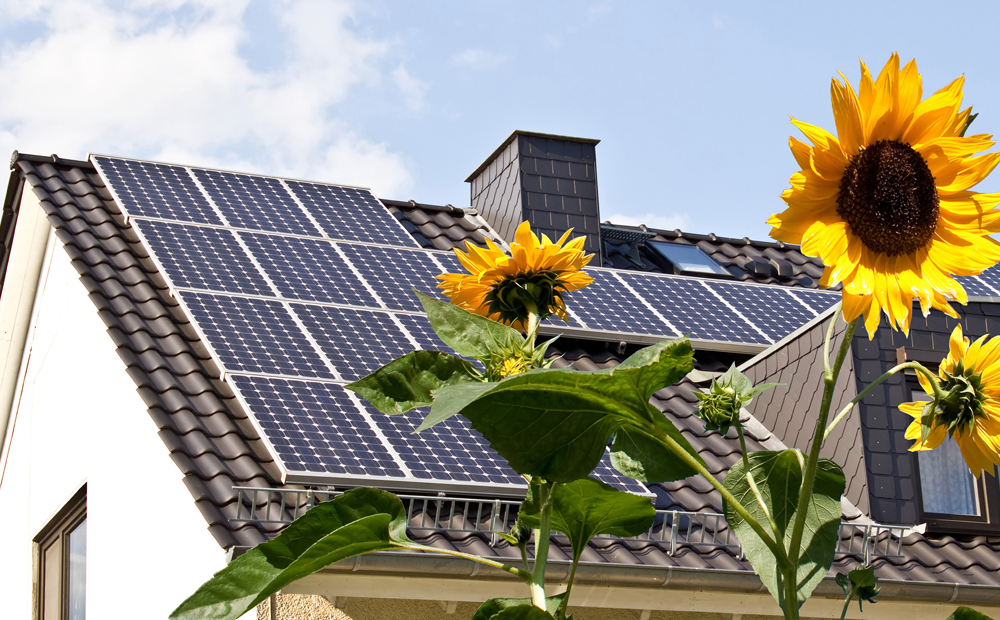 zonnepanelen