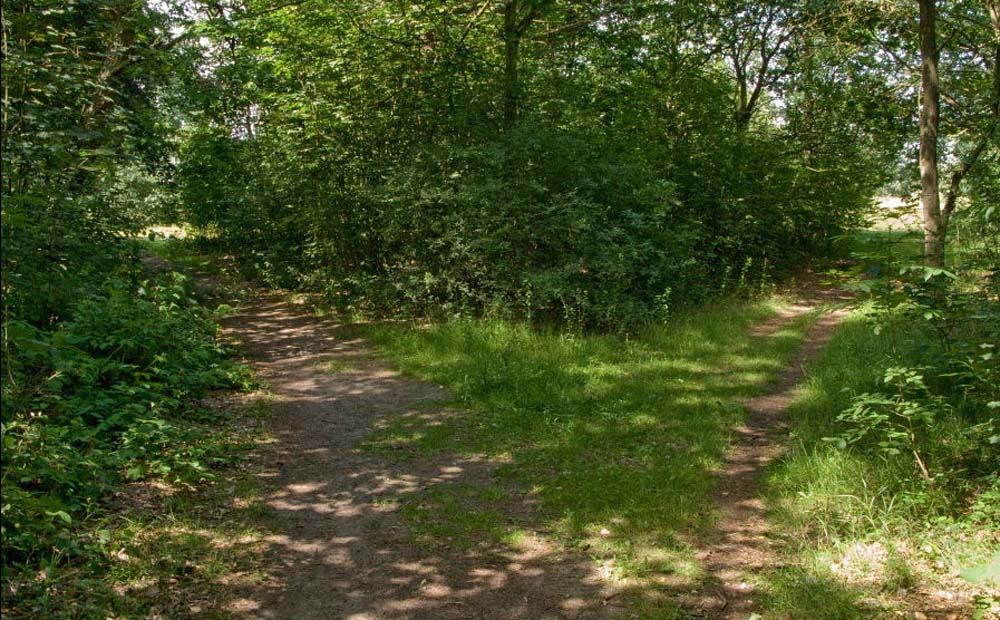 castricum1