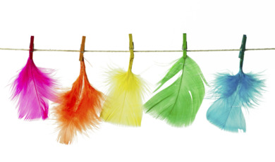 istock_000019790130_medium