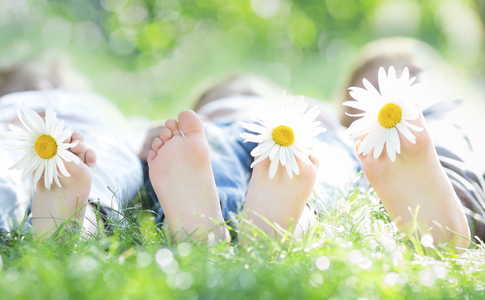 istock_000023390017_medium
