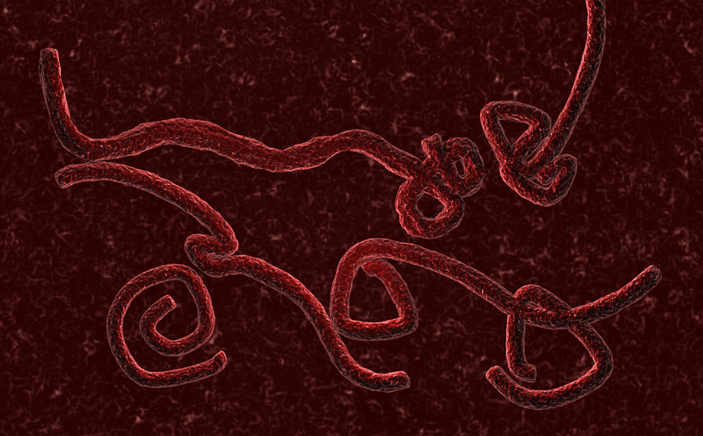 Ebola