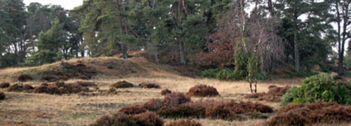 gelderland