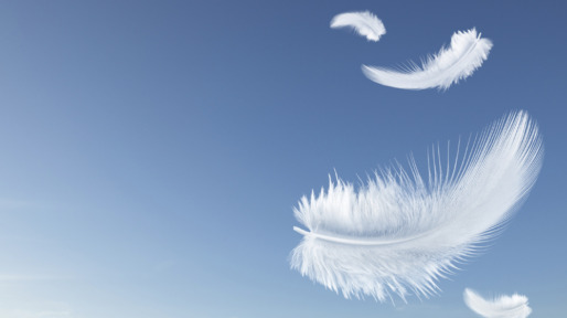 feathers falling