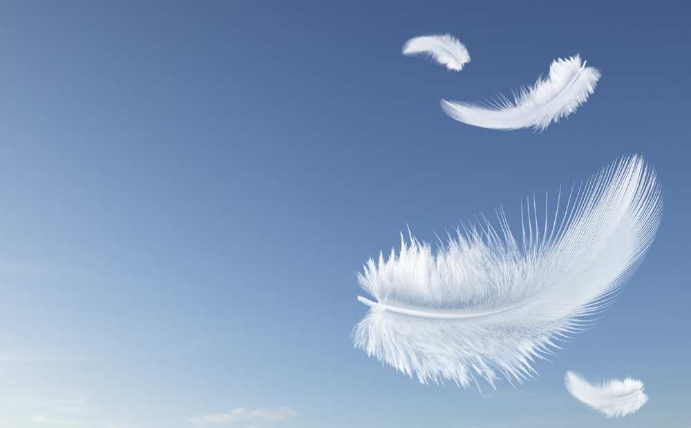 feathers falling