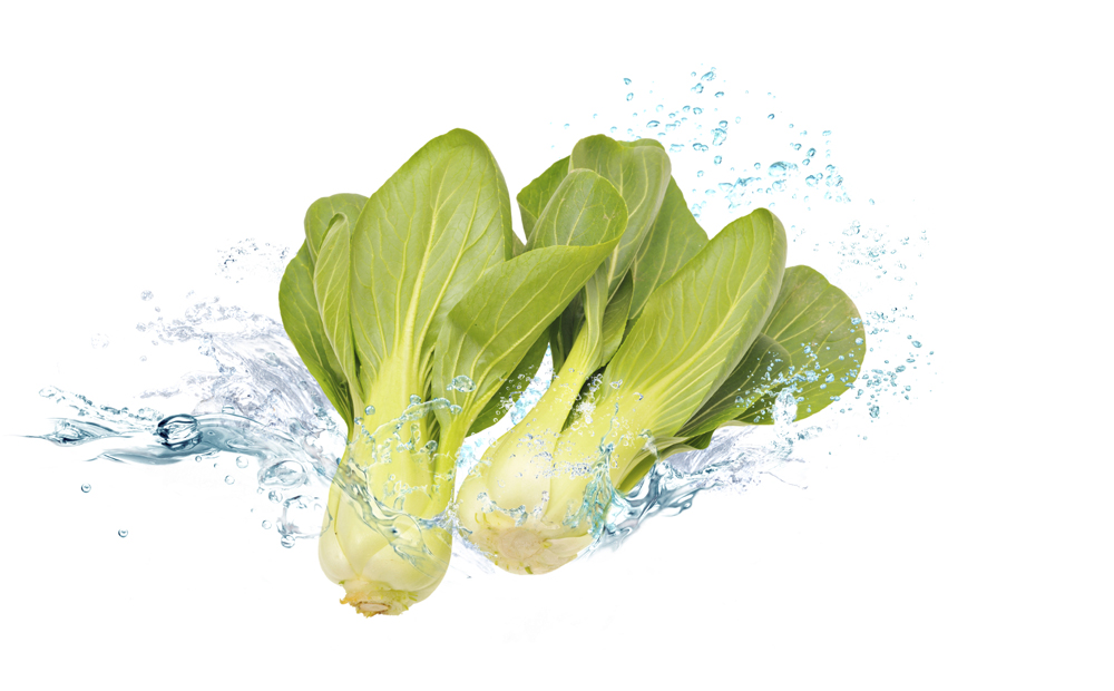 istock_000030470200_medium