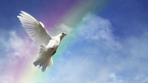 Freedom, peace and spirituality