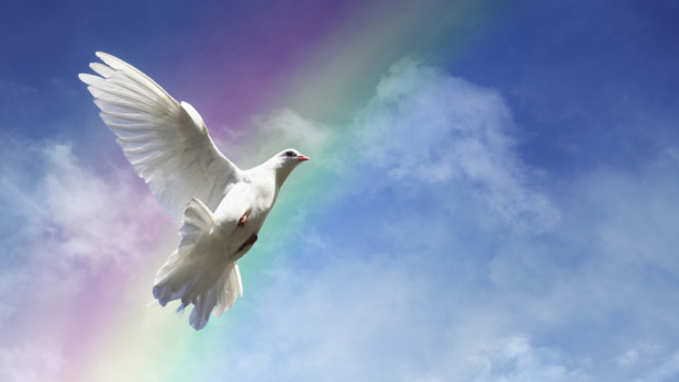 Freedom, peace and spirituality