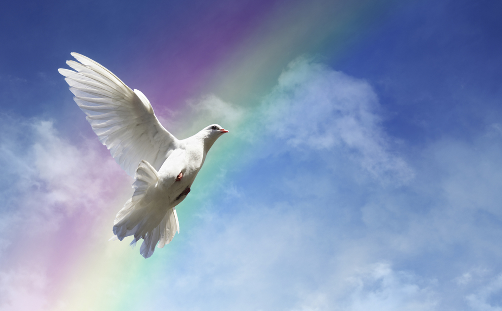 Freedom, peace and spirituality