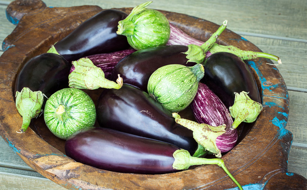 aubergine_0