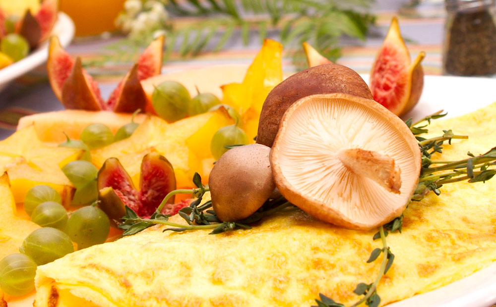 mushroomomelet