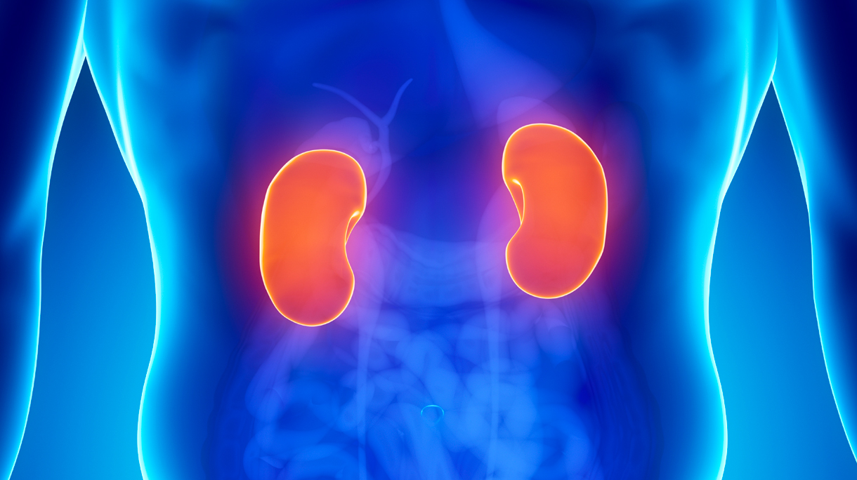 istock_000017548217_large