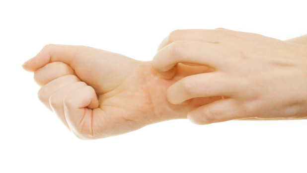 istock_000030029338_large-1