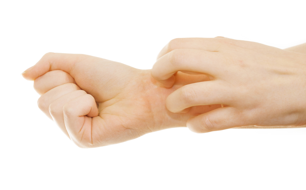 istock_000030029338_large-1