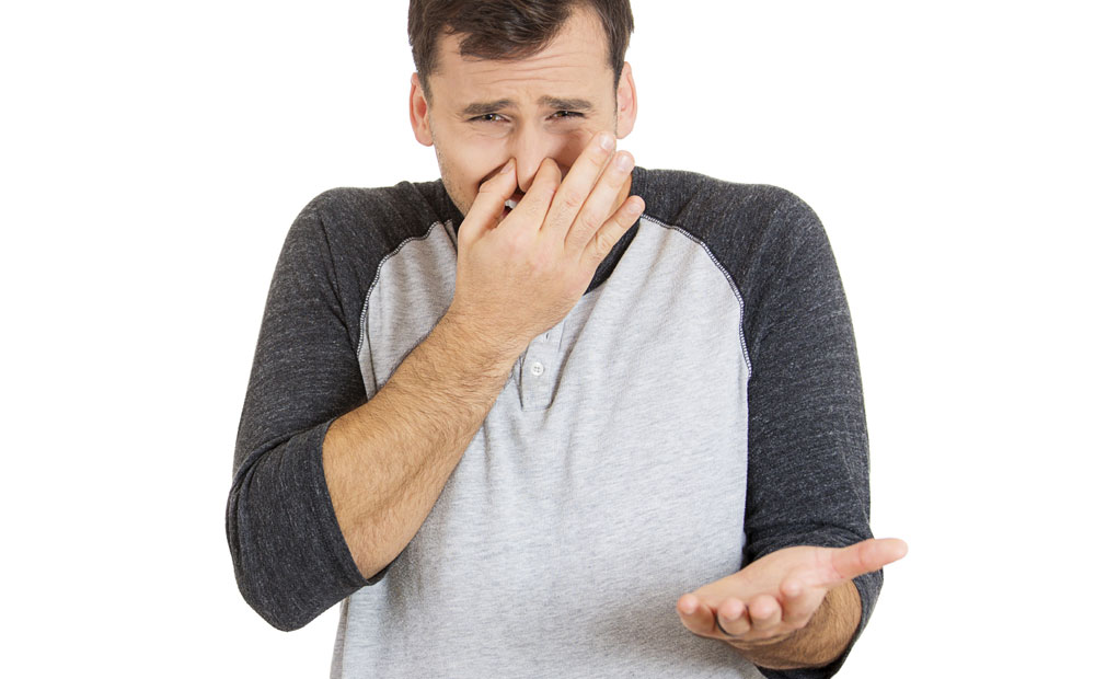 istock_000035942748_medium