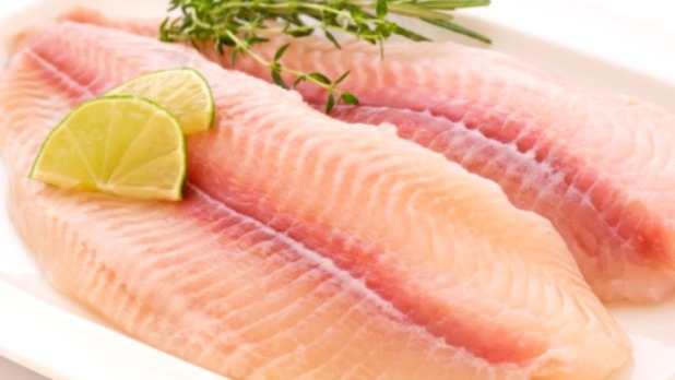 pangasiusfilet_505x339_0