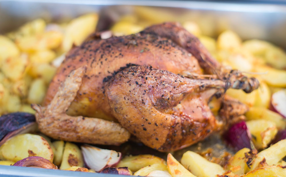 chicken