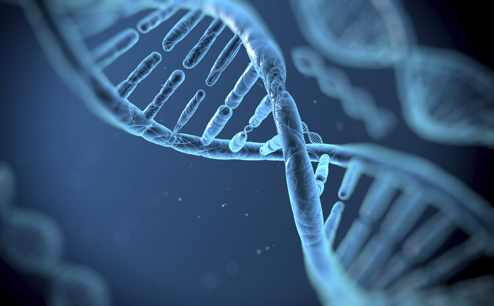 dna