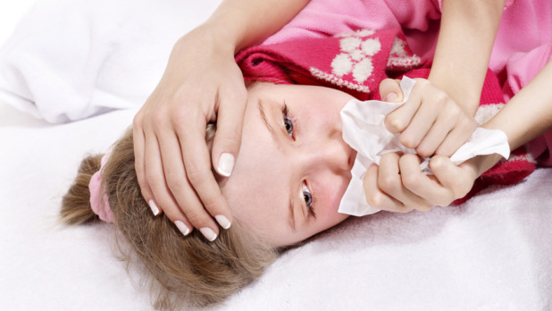 istock_000015294559_full