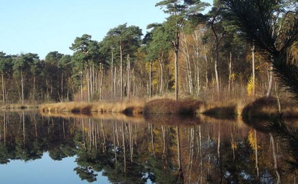 ommetje-pierenberg1