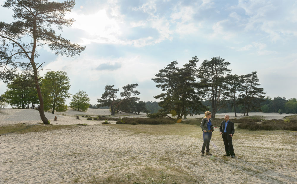 soesterduinen_hoofdbeeld