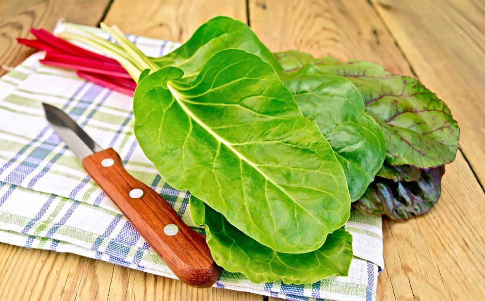 istock_000056228564_medium