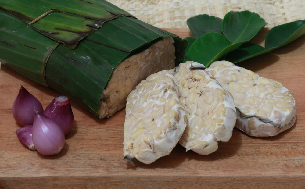 tempeh