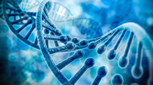 dna-profiel