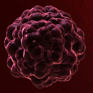 kankercel_320x320_0