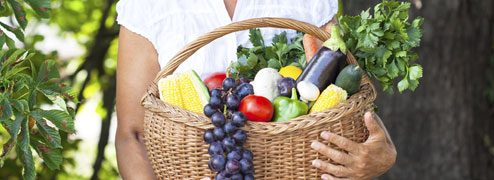 fruitmand