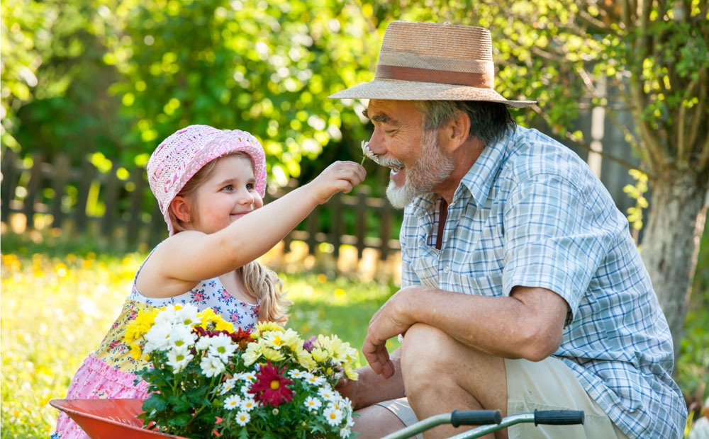 istock_000020455133_medium