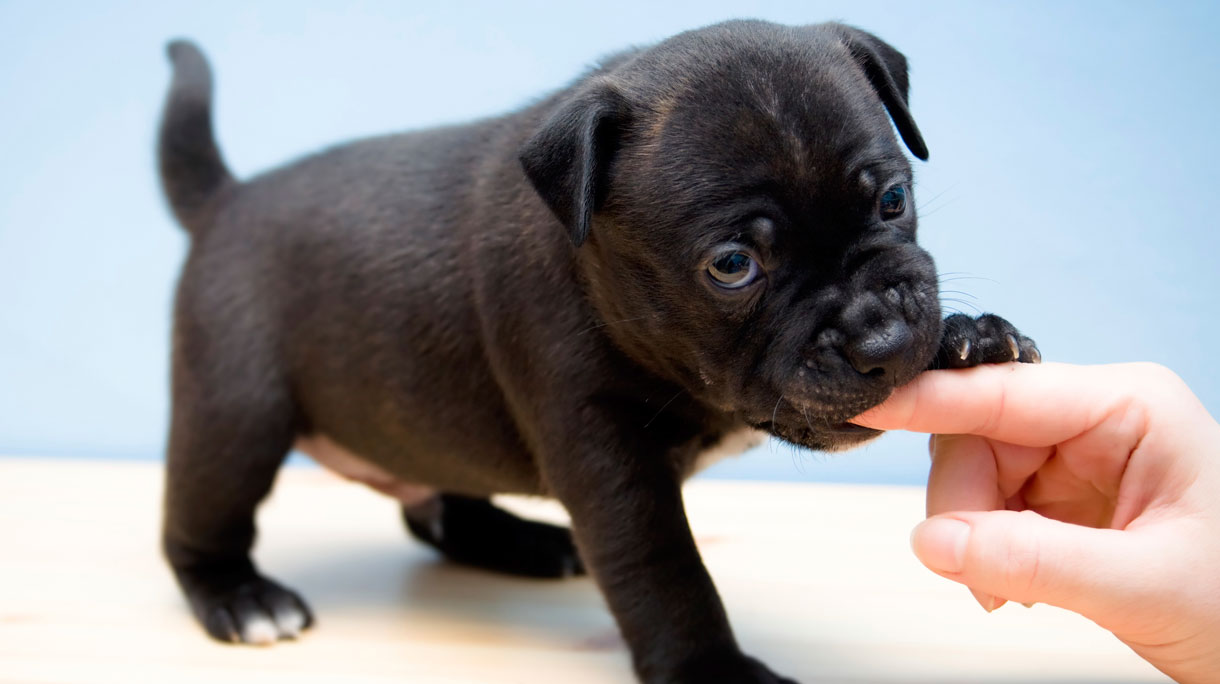 istock_000008903980_large