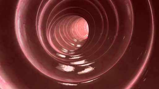 istock_000009059378_full_0