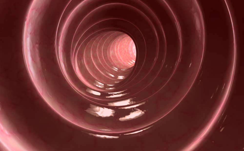 istock_000009059378_full_0