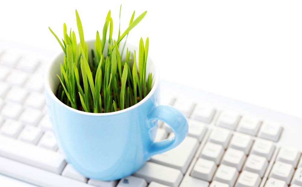 istock_000012770805_medium