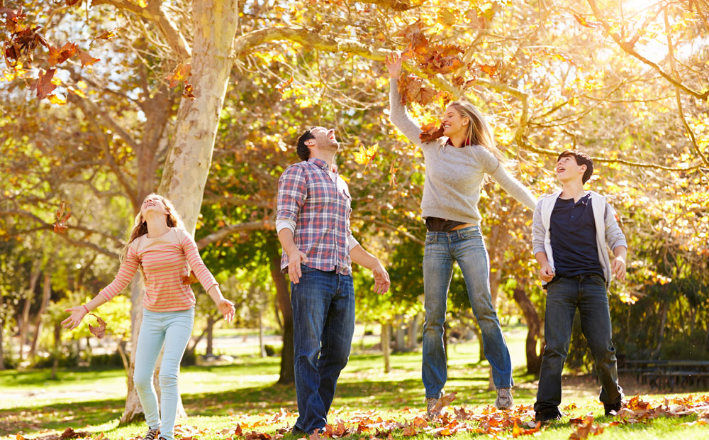 istock_000039784264_large